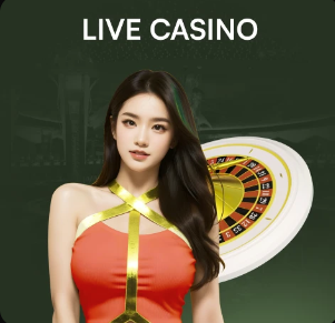 斯基拉：维拉将努力签下道格拉斯·路易斯，他与埃梅里关系密切